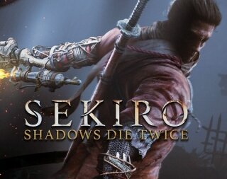 Sekiro Shadows Die Twice PS Oyun kullananlar yorumlar